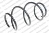 ROC CS7967 Coil Spring